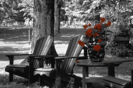 Garden Chairs With Red Flowers In A Pot (SKU: 597311)